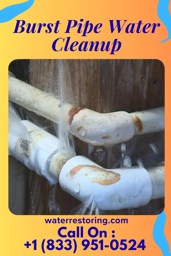 Burst Pipe Water Cleanup in Gardner, MA