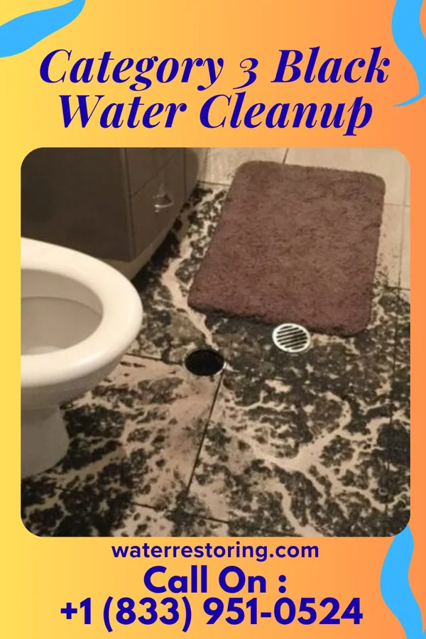 Category 3 Black Water Cleanup in Gardner, MA