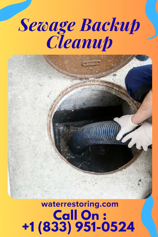 Sewage Backup Cleanup in Gardner, MA