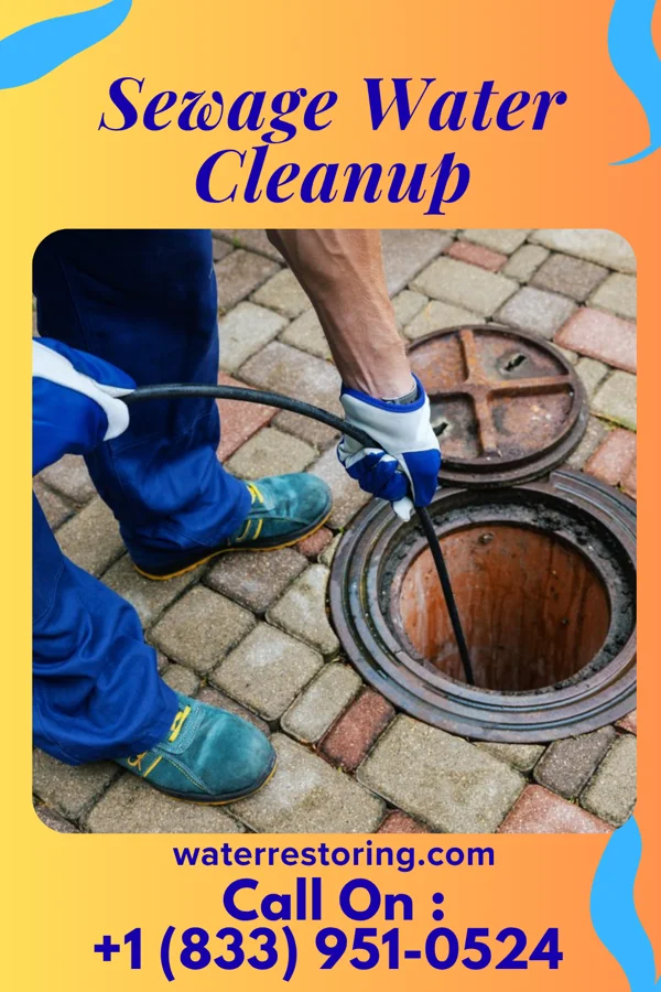 Sewage Water Cleanup in Gardner, MA